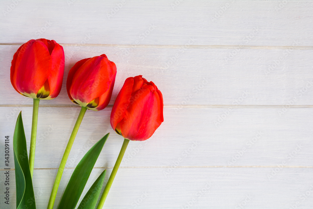 Red tulips on white wooden background