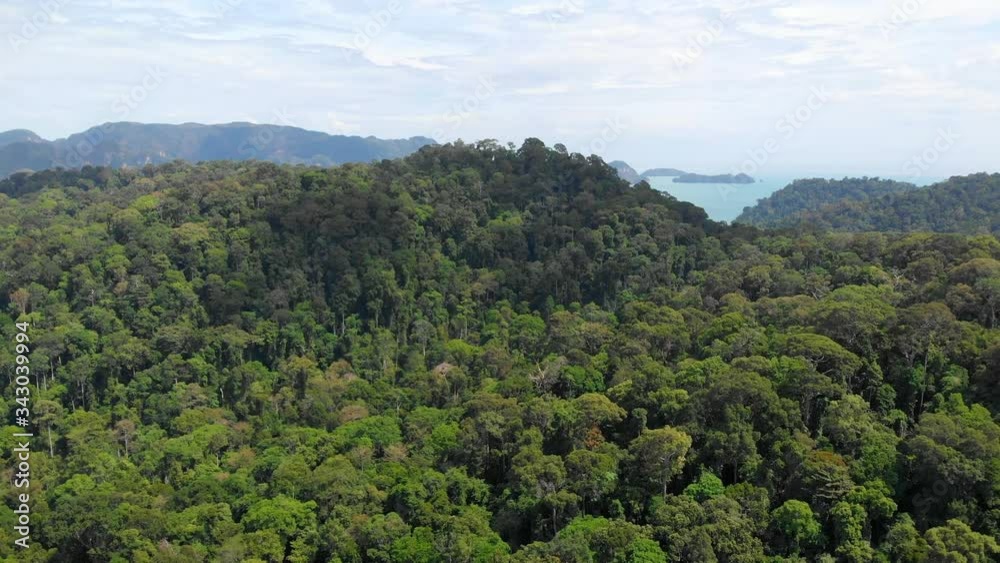 Aerial of wild untouched forested islands in the middle of the ocean. Rainforest natural reserve Aerial of wild untouched forested islands in the middle of the ocean. Rainforest natural reserve