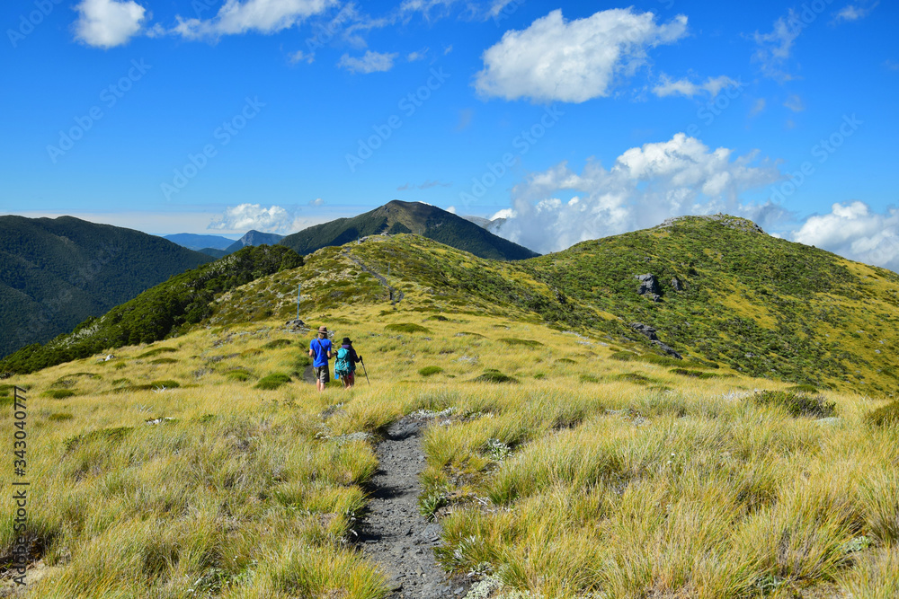 Walking to Mount Arthur Kahurangi National Park, New Zealand, South Island.