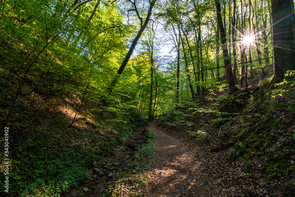 Fototapeta premium Klingenbergs Seltenbachschlucht