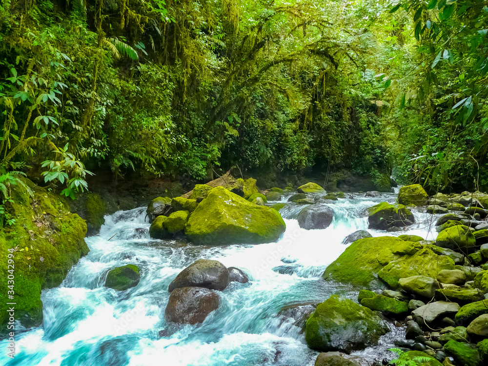 Obraz premium La Paz Waterfall Gardens Nature Park, Alajuela, Costa Rica
