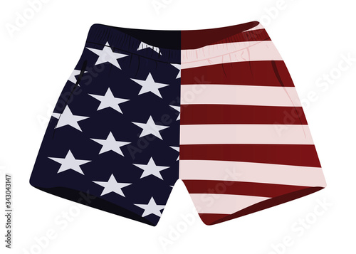 USA flag shorts. vector illustration