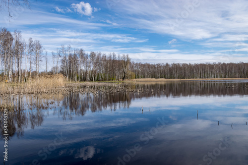 sunny spring day landscape with a lake, dry reeds along the water's edge © ANDA