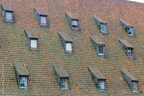 Old roof with red roof tiles and dormers.