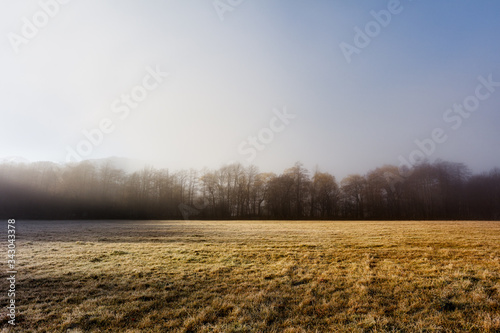Beautiful autumn misty sunrise landscape. Foggy morning at scenic meadow with dry grass and trees through the dense fog.