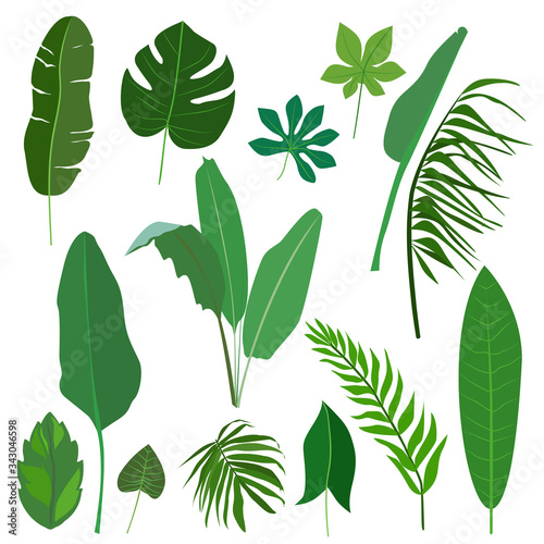 Set of flat cartoon tropical leaves.
