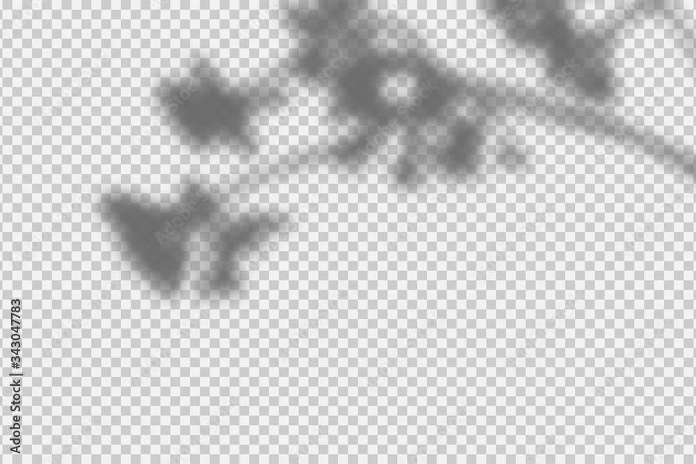 Shadow overlay effect. Transparent overlay shadow from leaves, branches, plant and foliage. Realistic soft light effect of shadows and natural lightning on transparent background. Vector.