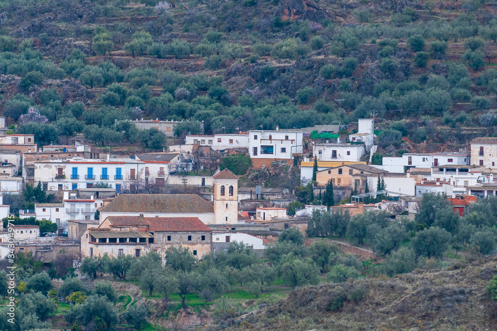 The town of Jorairatar surrounded by olive trees