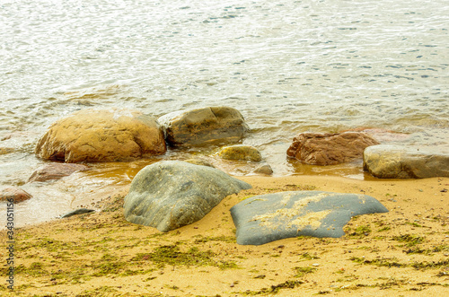 Stones washing off the seashore with algae