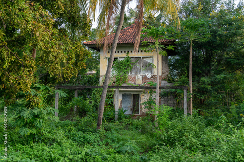 Local Balinese Houses among Palm Trees