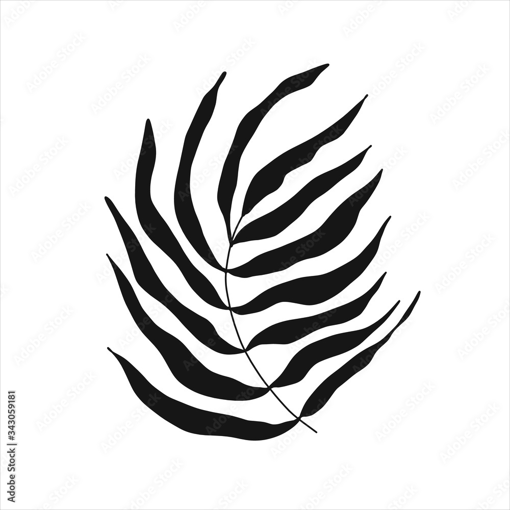 Black tropical leaf silute on an isolated white background. Botanical tree branches, palm leaf on the stem. Spring summer leaf. Concept design logo icon for the application. Vector illustration.