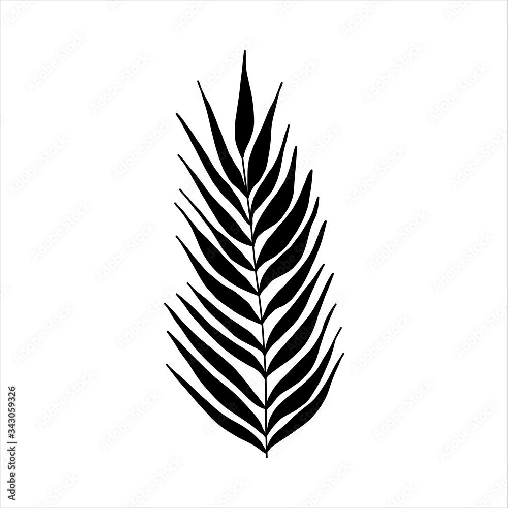 Black tropical leaf silute on an isolated white background. Botanical tree branches, palm leaf on the stem. Spring summer leaf. Concept design logo icon for the application. Vector illustration. Black tropical leaf silute on an isolated white background. Botanical tree branches, palm leaf on the stem. Spring summer leaf. Concept design logo icon for the application. Vector illustration.