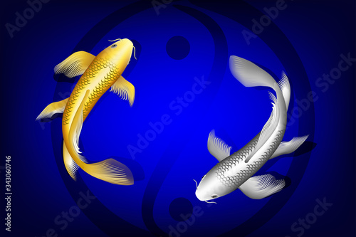 Koi fish gold silver vectors