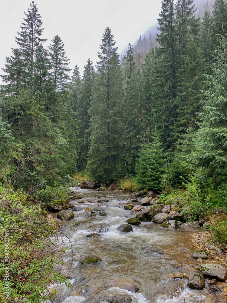 Trekking in the Kościeliska Valley, Tatra mountains. Trekking in the Kościeliska Valley, Tatra mountains.
