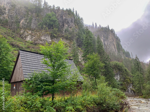 Trekking in the Kościeliska Valley, Tatra mountains.