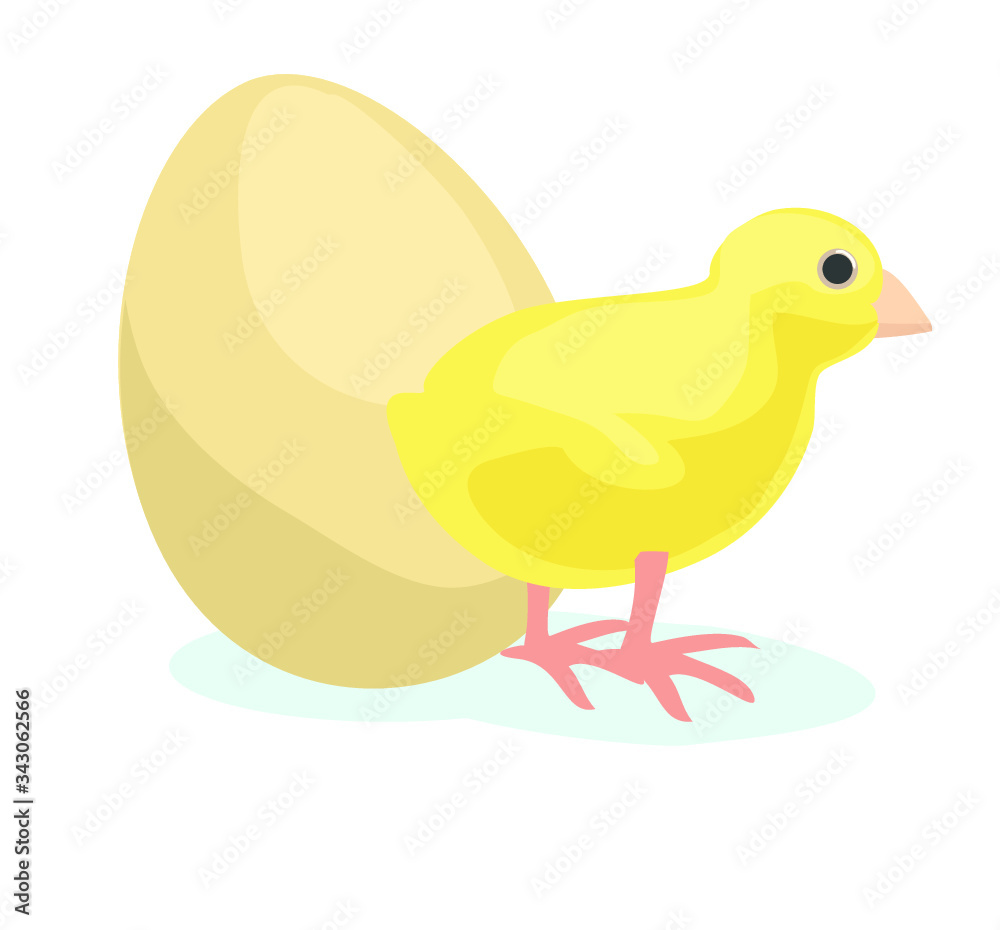 yellow little chicken egg easter rooster animal baby bird icon isolated on white background yellow little chicken egg easter rooster animal baby bird icon isolated on white background