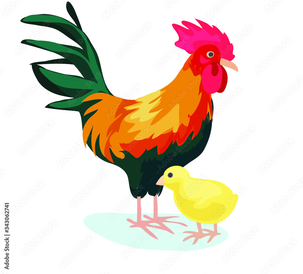 chicken easter rooster with yellow chick red colorful nature animal baby bird icon isolated on white background