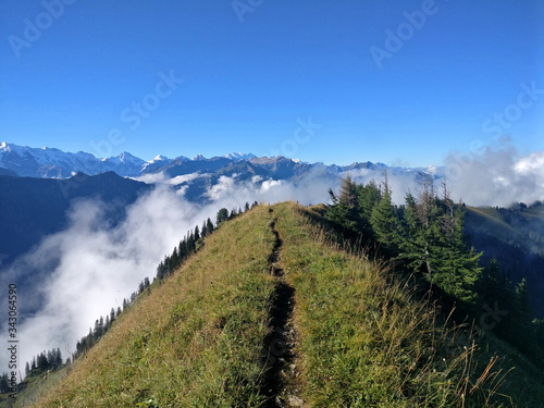 Grassy Hardergrat Hiking Trail near Interlaken Switzerland with views over swiss alps