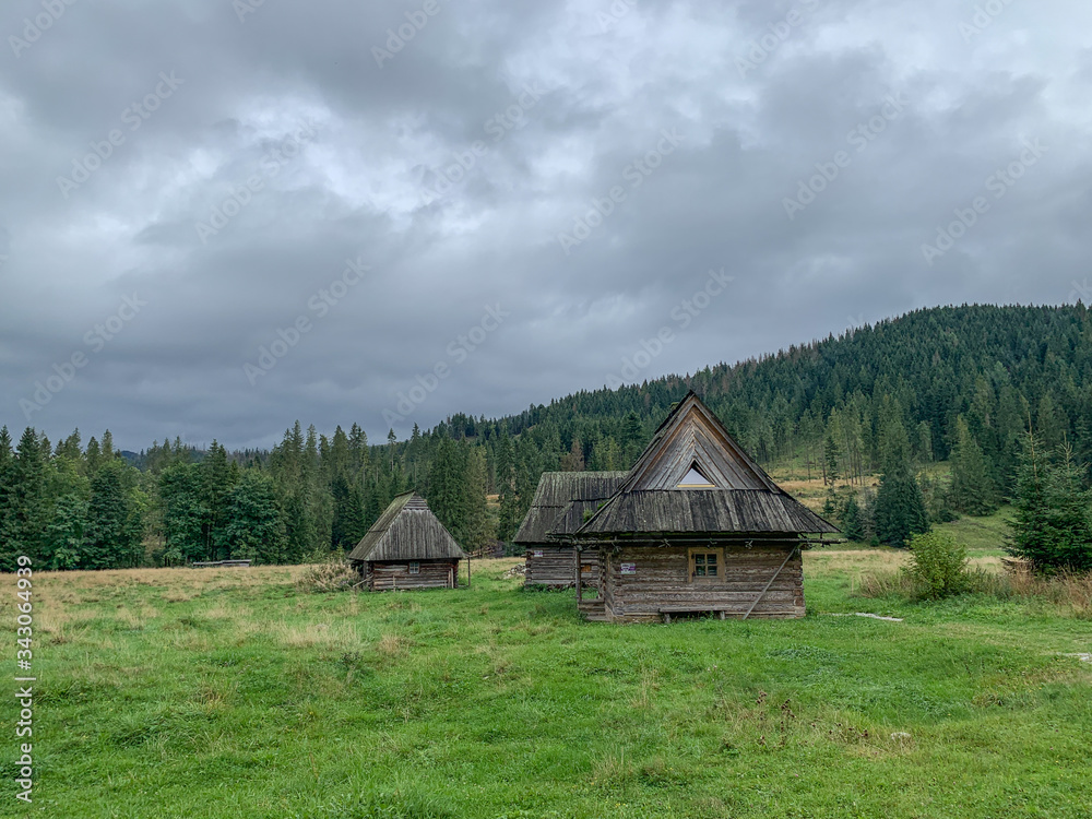 Trekking in the Kościeliska Valley, Tatra mountains. Trekking in the Kościeliska Valley, Tatra mountains.