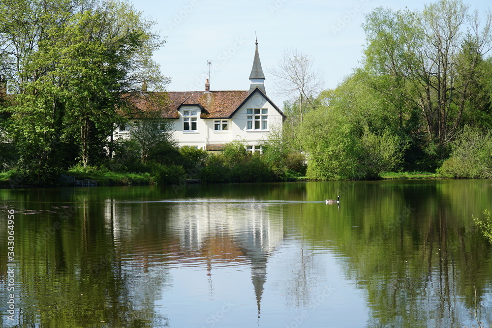 House next to pond in Hampshire UK with nice green and blue colours and reflective water and goose swimming on water House next to pond in Hampshire UK with nice green and blue colours and reflective water and goose swimming on water