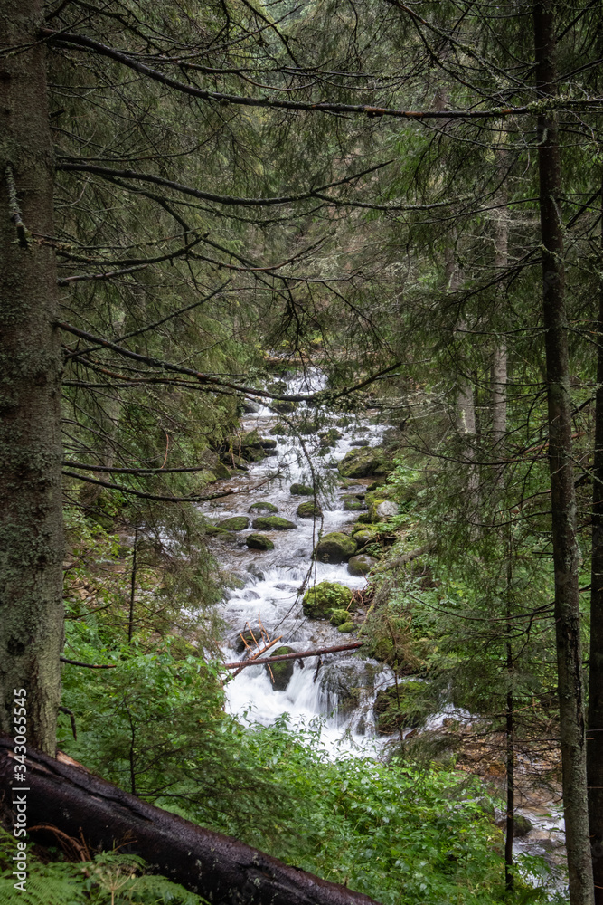 Obraz premium Trekking in the Kościeliska Valley, Tatra mountains.