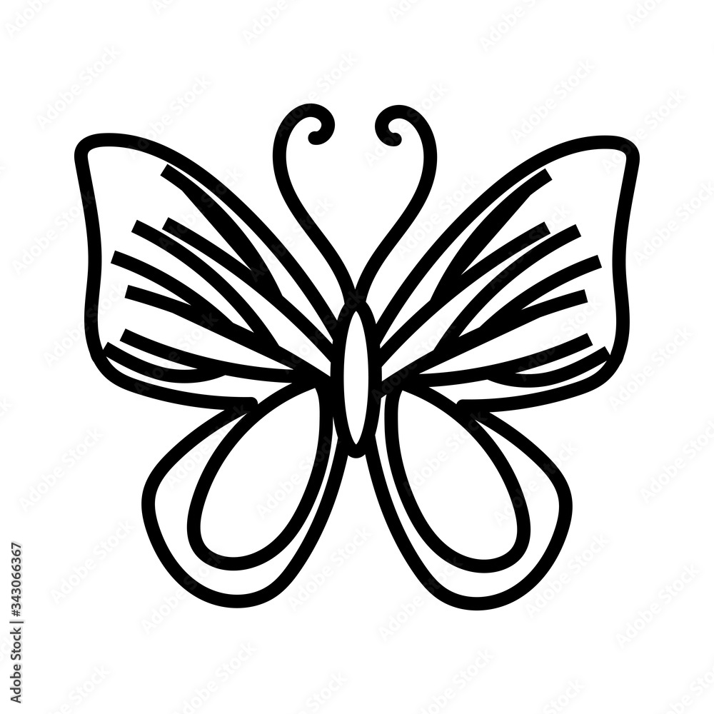 beautiful butterfly insect line style icon