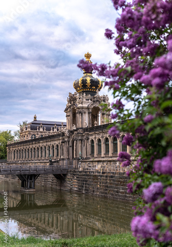 lilac spring zwinger dresden, saxony, germany