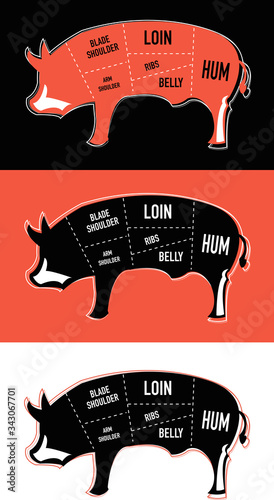 Vector Animal silhouette pork. Meat Cuts Diagrams. Diagrams for butcher shop. Scheme of pork. Vector illustration. 