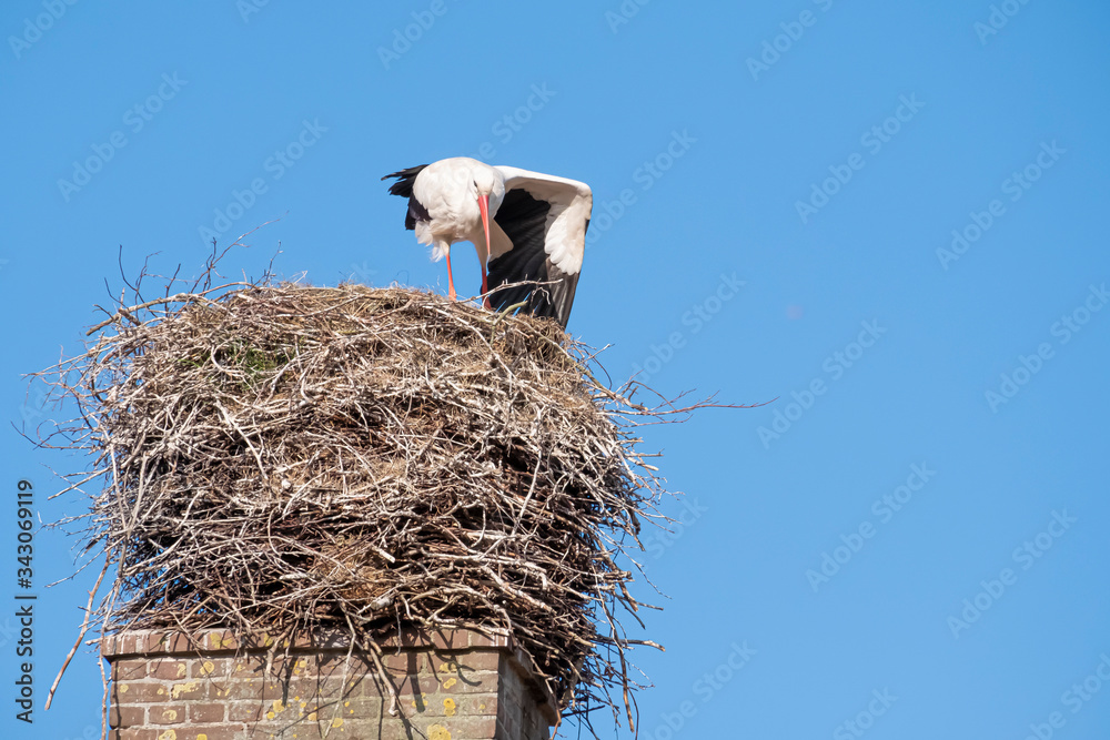 Fototapeta premium A stork stands in its nest on a chimney, the bird shakes out its wing, blue sky in background