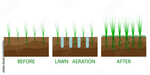 Lawn aeration process steps - before and after. Lawn aeration. Gardening grass lawncare, landscaping service