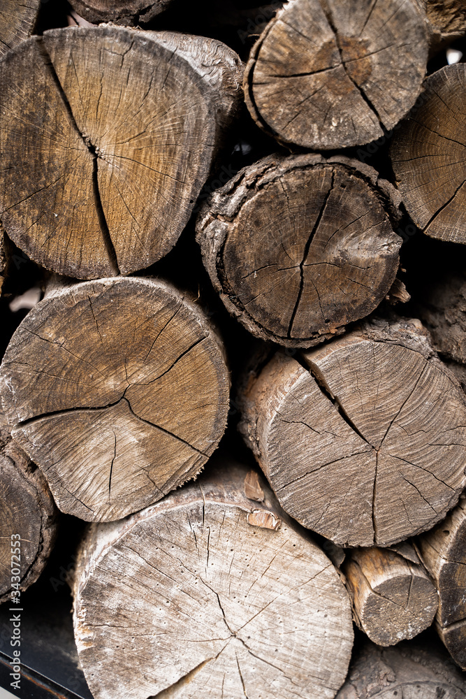 Naklejka premium wooden background with woodlog of tree