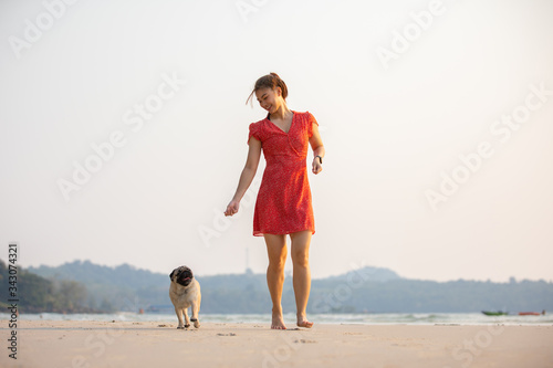 dog pug breed running on the beach with owner so fun and happiness,Dog vacation concept © 220 Selfmade studio