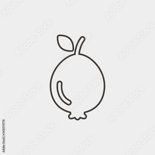 fig fruit icon vector illustration and symbol for website and graphic design