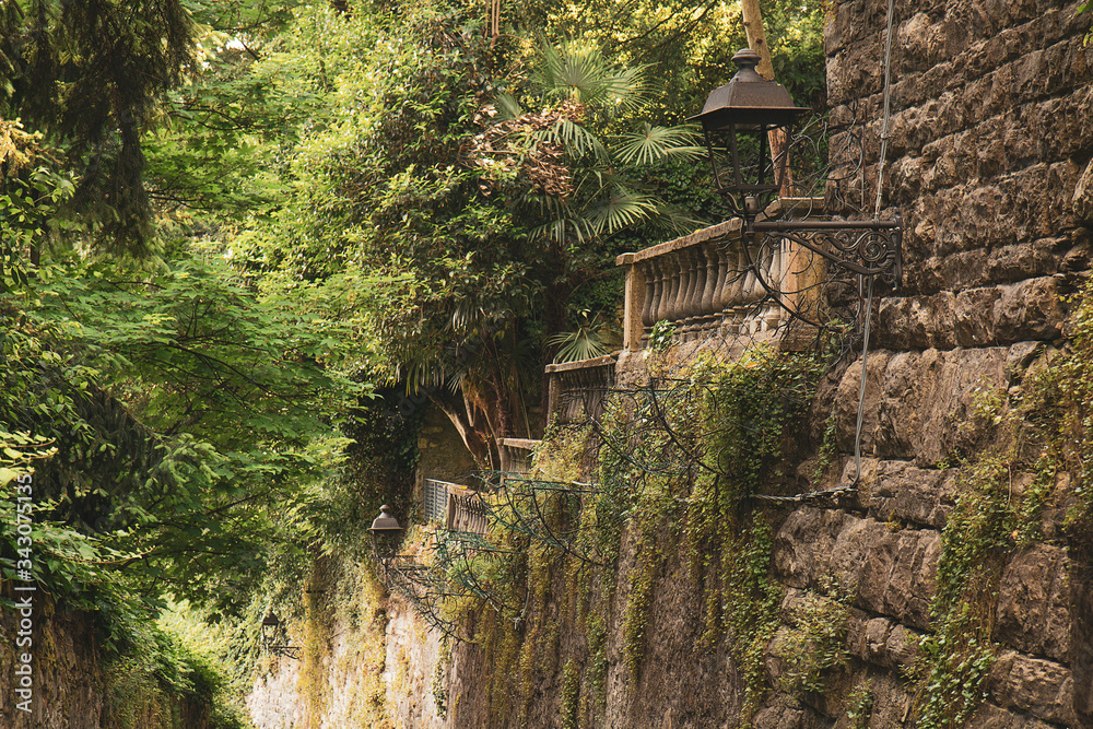 Old wall surrounded by greenery, covered with greenery