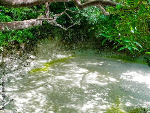 Wallpaper Mural Boiling mud pot in Rincon de la Vieja national park, Guanacaste, Costa Rica Torontodigital.ca