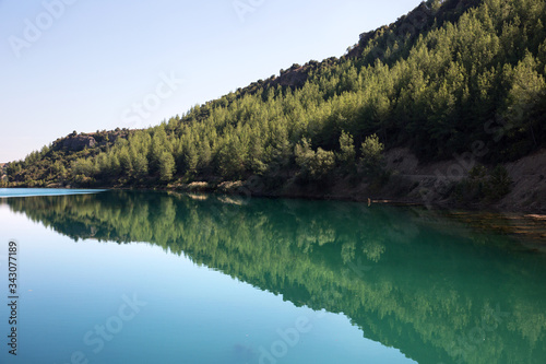 Reflection of forest in water