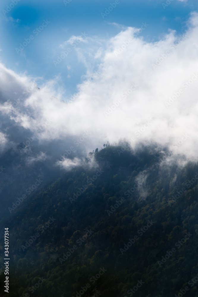 Cloudy Wooded Mountain Ridge 