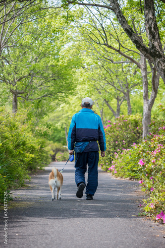 朝の公園で犬を連れて散歩しているシニア男性