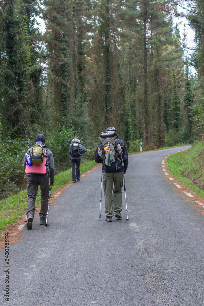 Camino de Santiago. Way of St. James. Pilgrimage to Santiago de Compostela. People with backpacks back view. Group travelers. To go forward. A heavy burden. The road in the forest. Hiking trip.