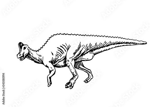 Graphical hand-drawn 
parasaurolophus isolated on white background, vector illustration,paleontology