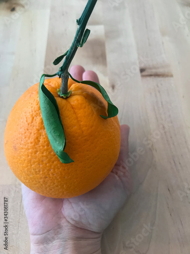 Orange with branch and leaf