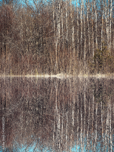 Spring forest reflected in water