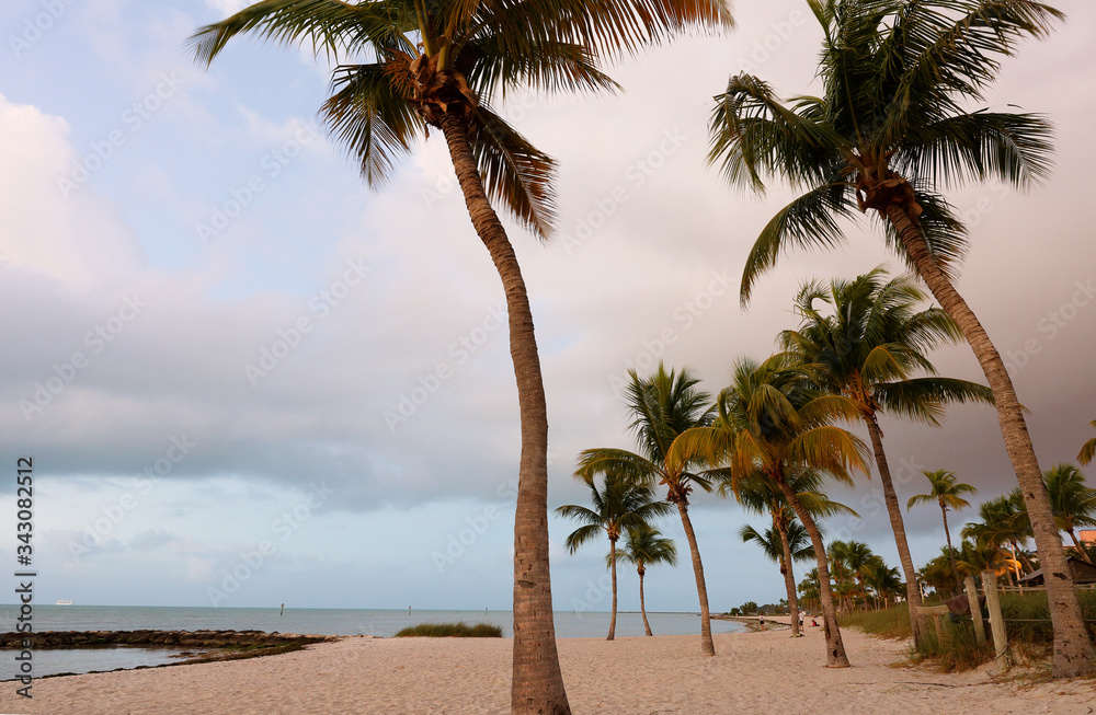 Beautiful sunrise at Smathers Beach with Palm Tree in foreground. Smathers Beach is the largest public beach in Key West, Florida, United States. It is approximately a half mile long Beautiful sunrise at Smathers Beach with Palm Tree in foreground. Smathers Beach is the largest public beach in Key West, Florida, United States. It is approximately a half mile long
