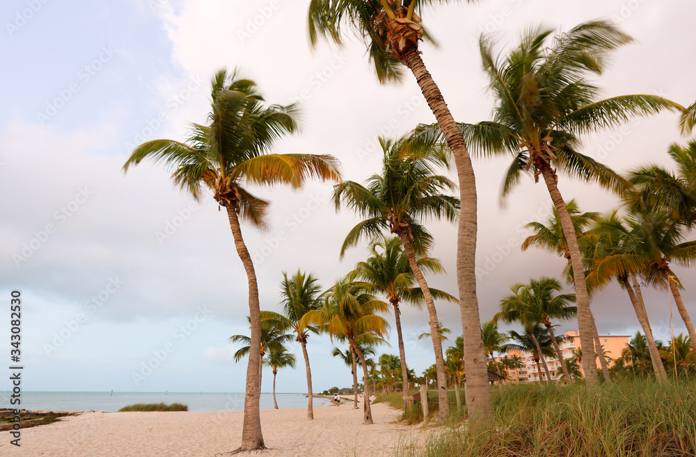 Beautiful sunrise at Smathers Beach with Palm Tree in foreground. Smathers Beach is the largest public beach in Key West, Florida, United States. It is approximately a half mile long