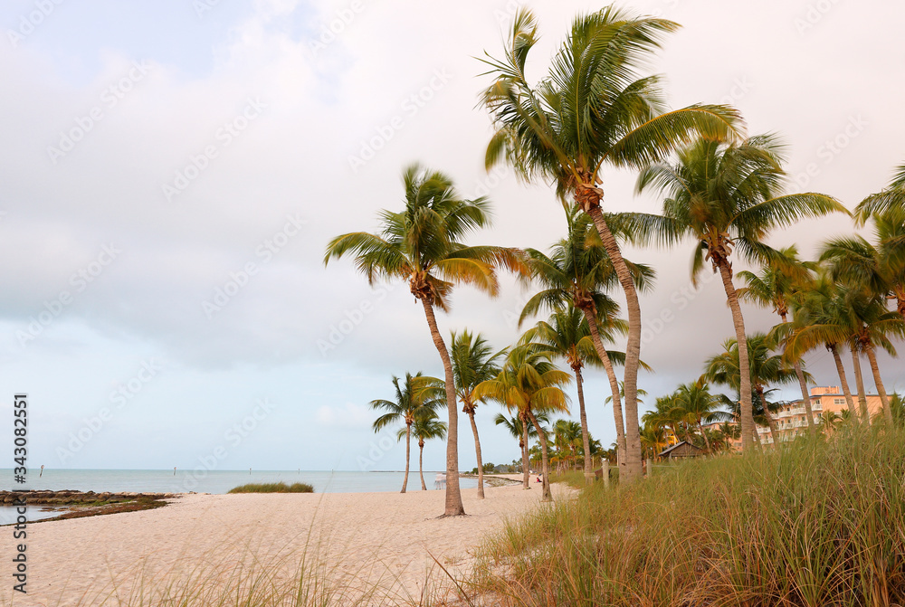 Beautiful sunrise at Smathers Beach with Palm Tree in foreground. Smathers Beach is the largest public beach in Key West, Florida, United States. It is approximately a half mile long