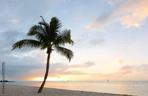 Beautiful sunrise at Smathers Beach with Palm Tree in foreground. Smathers Beach is the largest public beach in Key West  Florida  United States. It is approximately a half mile long