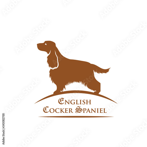 English cocker spaniel dog - vector illustration
