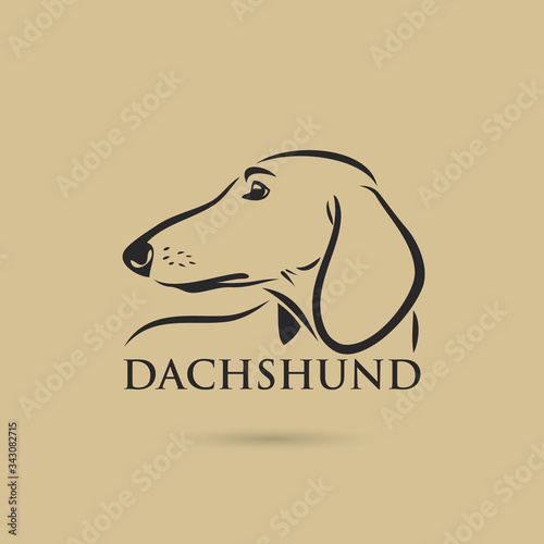 Dachshund dog - isolated vector illustration
