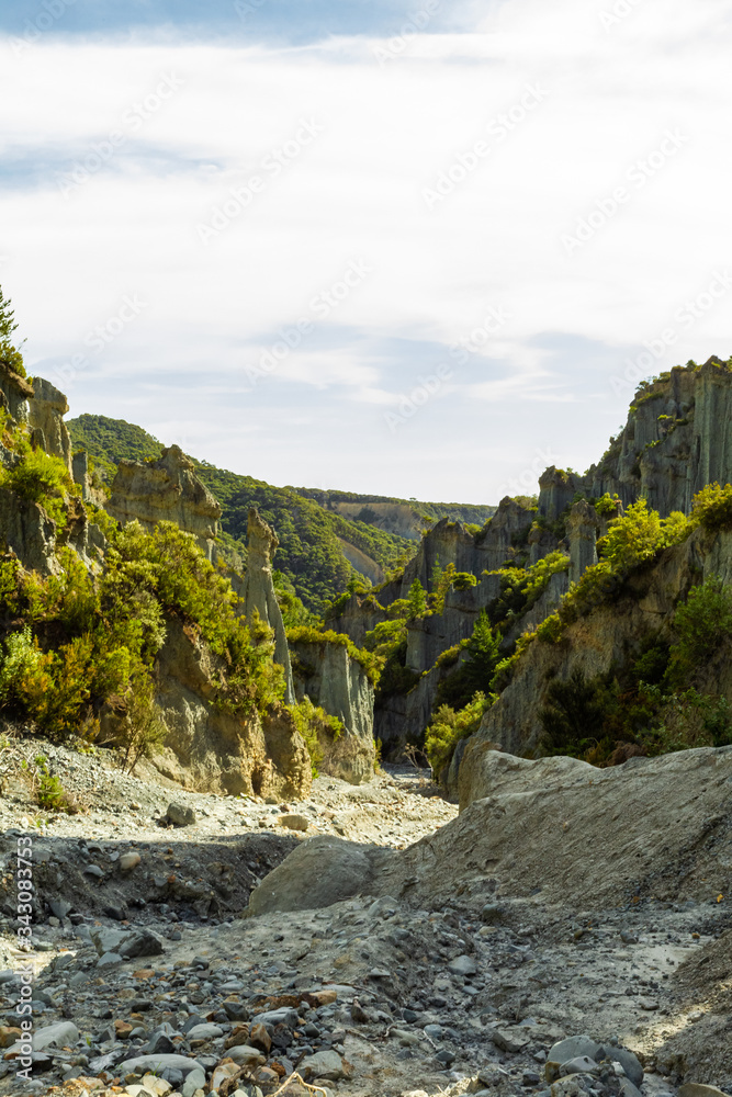 Valley among the rocks. North Island, New Zealand