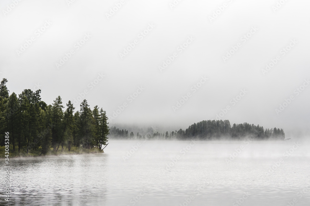 Fog-covered forest on the shore of a mountain lake in the Ulagansky District of the Altai republic, Russia